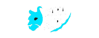 Cara Sur
